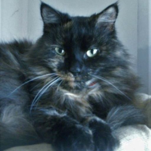 Avoiding costly mistakes…