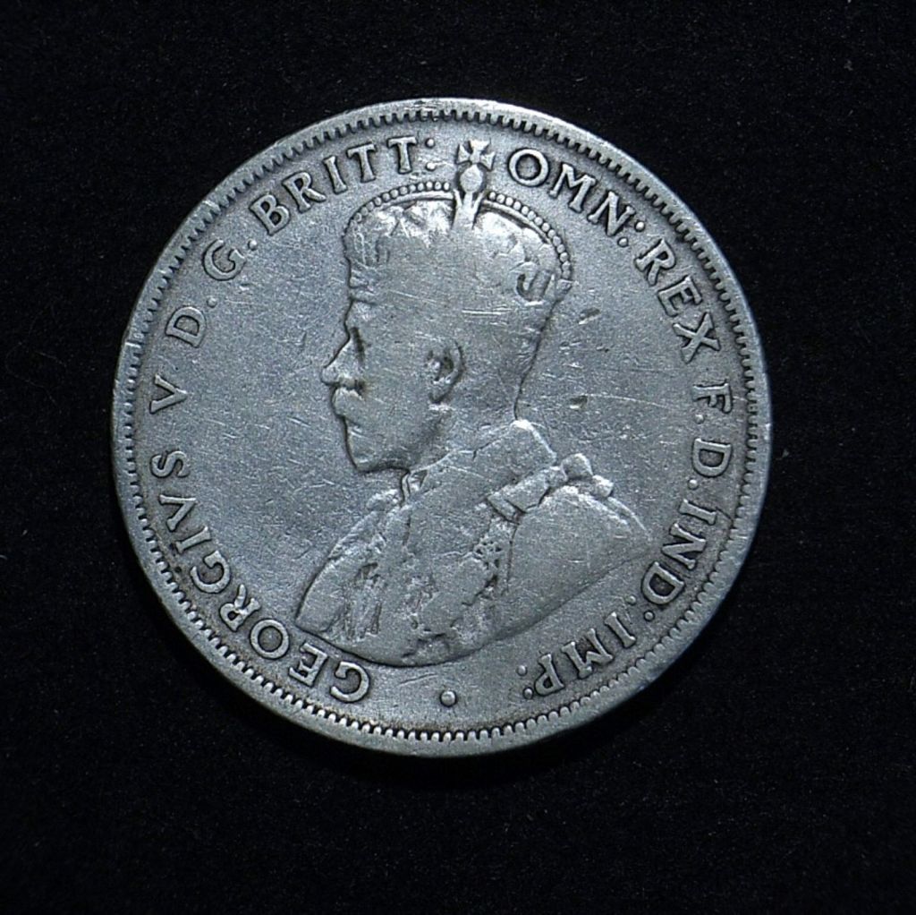 1915 Florin obverse in VG