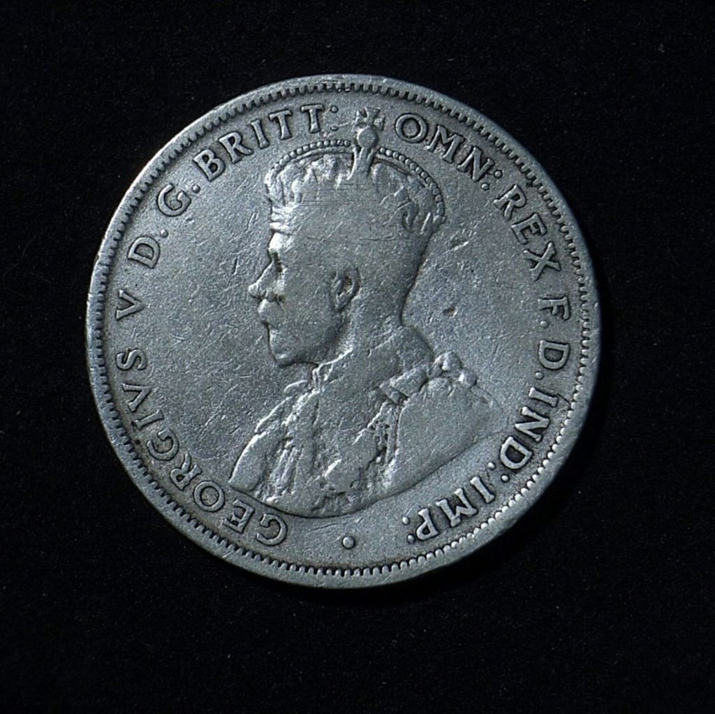 1915 Florin obverse in VG