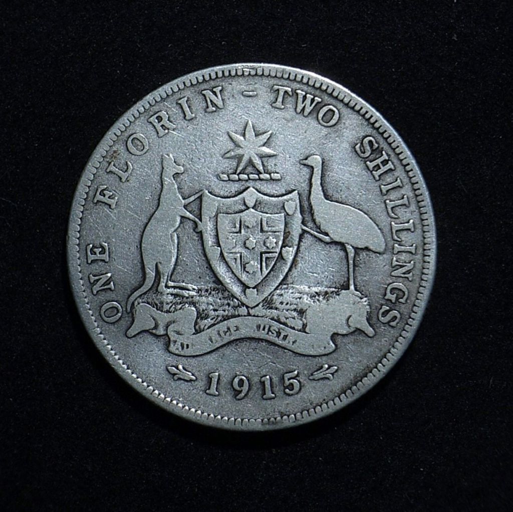 1915 Florin reverse in VG