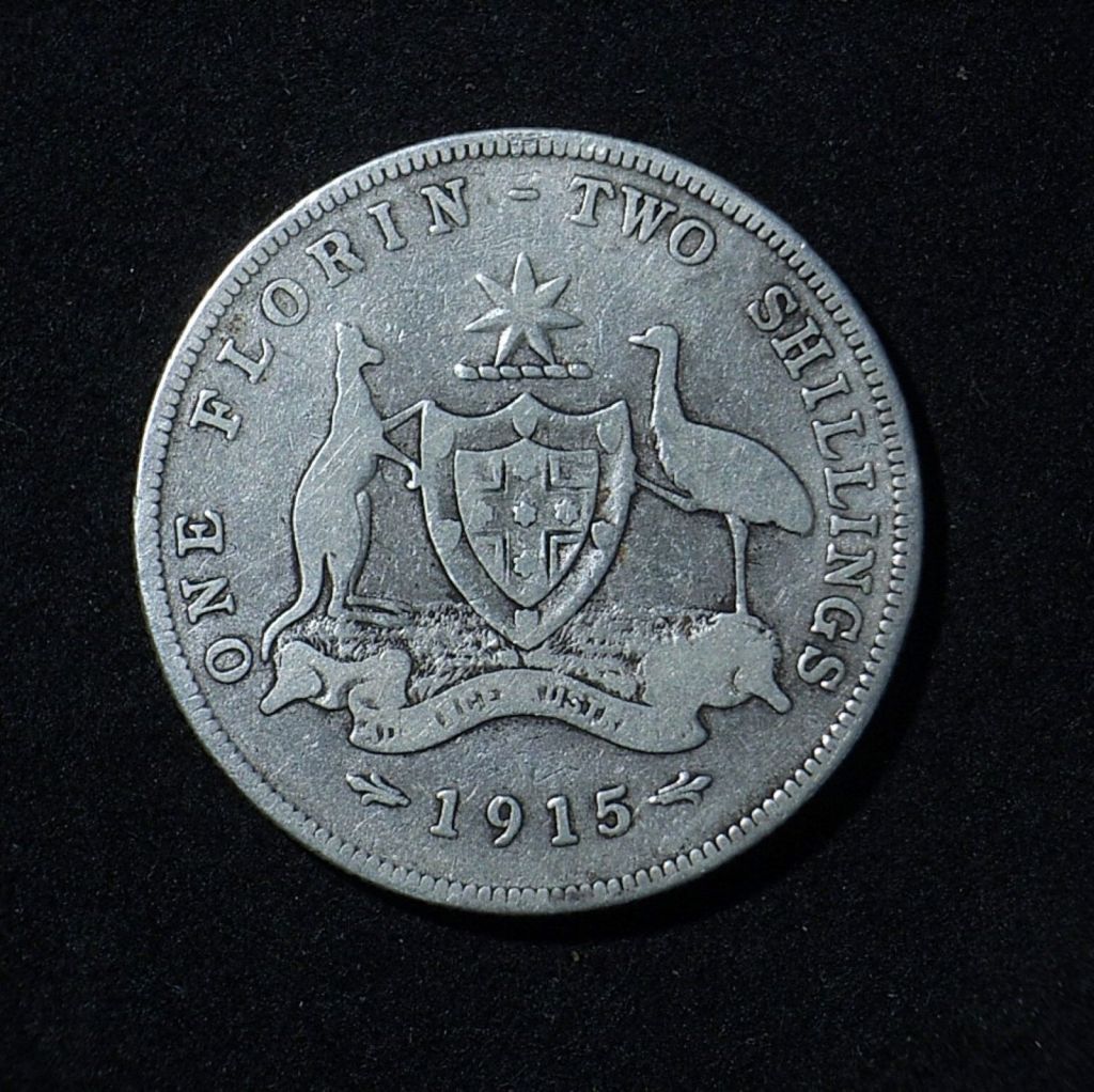 1915 Florin reverse in VG