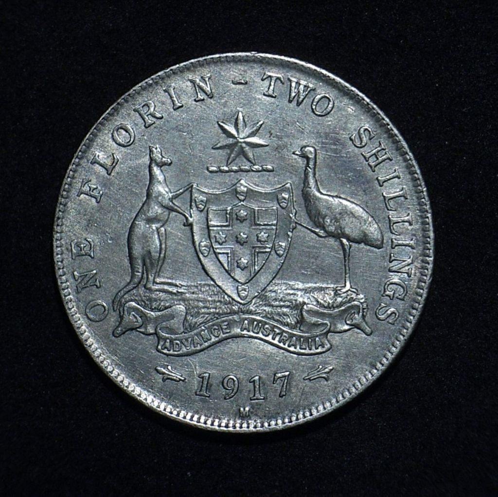 1917M Florin reverse in EF