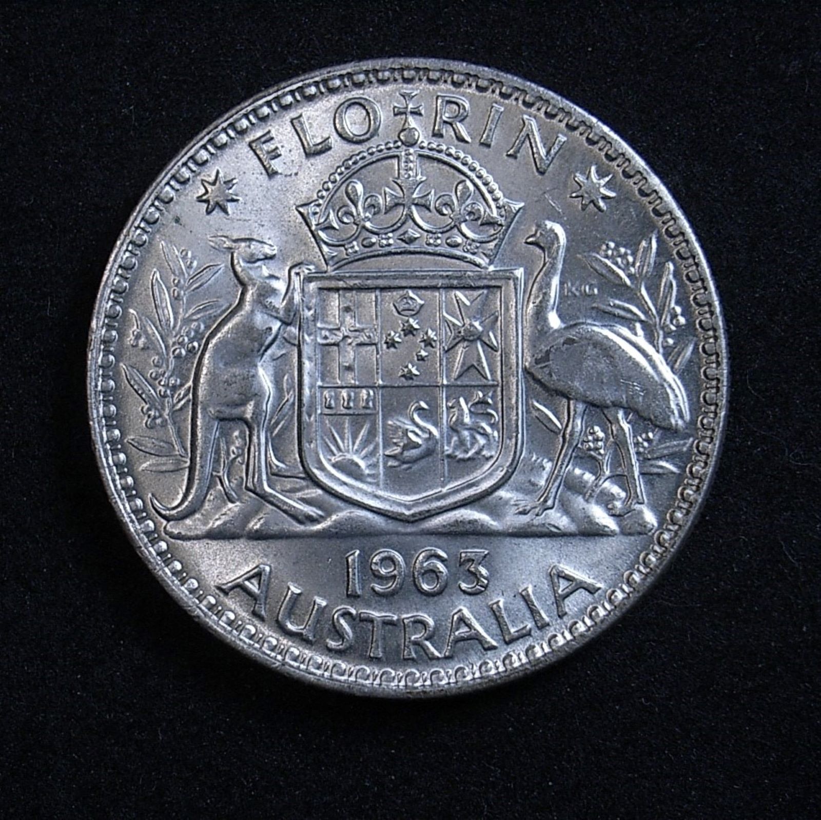 Close up Aussie florin 1963 reverse, new light angle highlighting the coin's detail