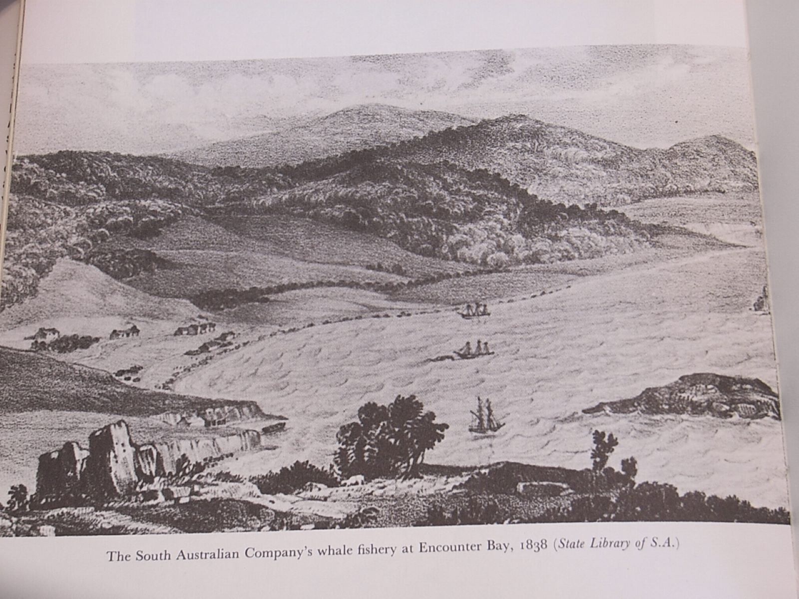 South Australia Co whale fishery at Encounter Bay, 1838