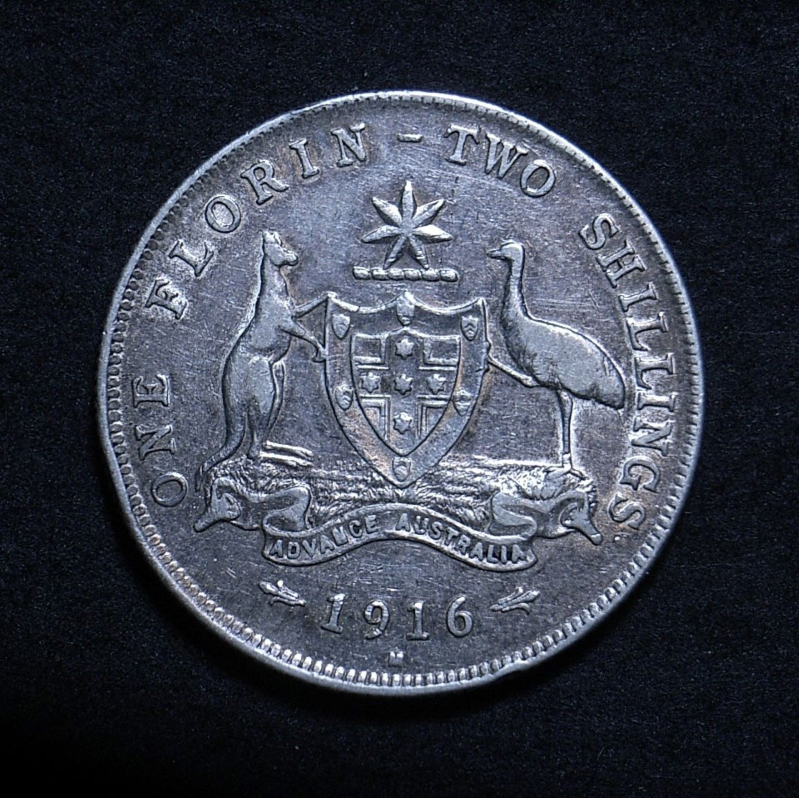Close up of Aussie 1916M florin reverse showing the coin's detail