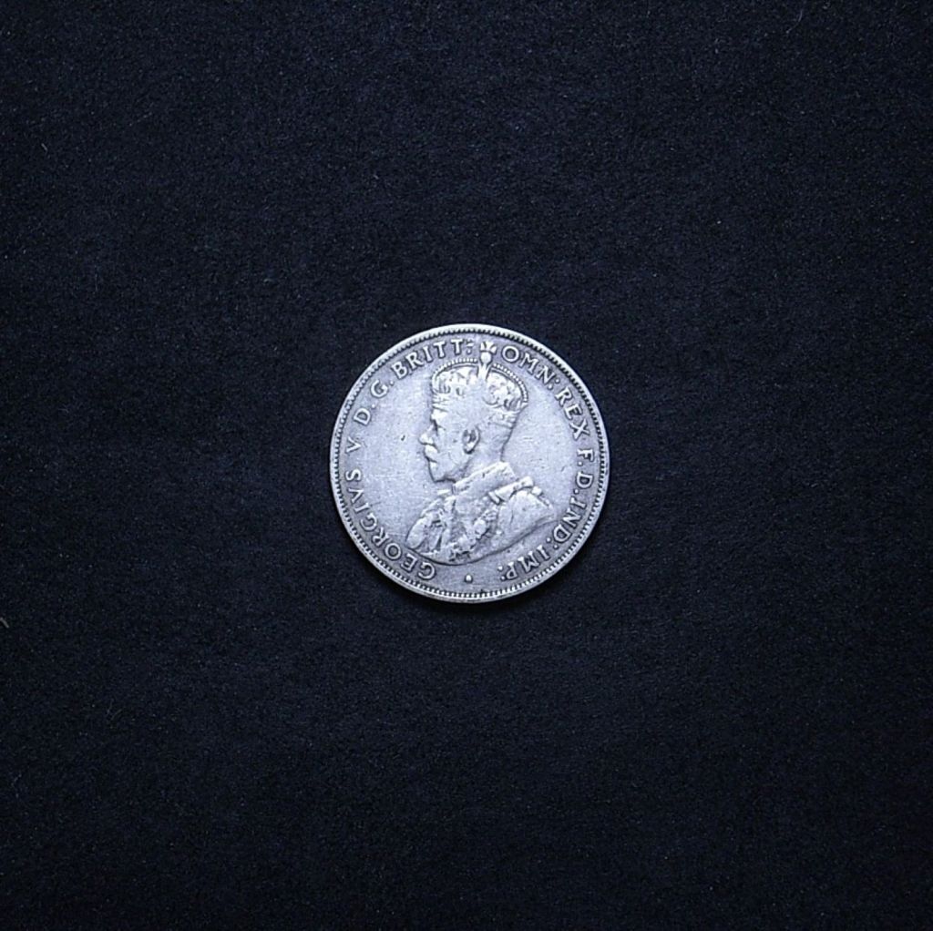 Aussie 1931 florin obverse showing the overall appearance of the coin
