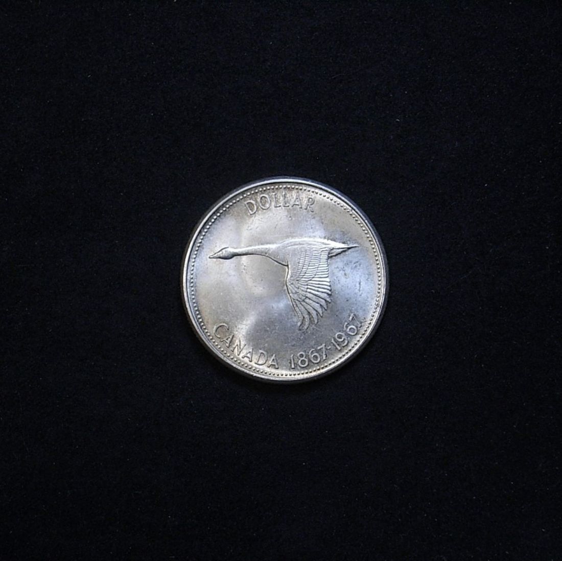 1967 Canadian Goose Dollar reverse highlighting the coin's lustre