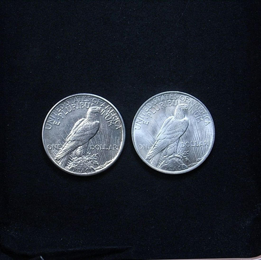 Comparison of relief on US 1921 vs 1923 Peace dollar reverse, highlighting lustre on the coins