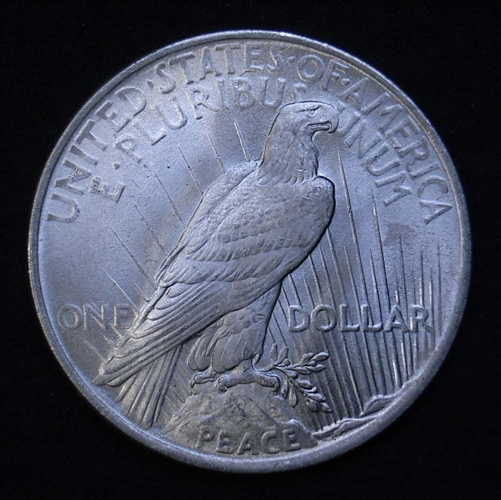 Close up US Peace Dollar 1923-P reverse showing detail