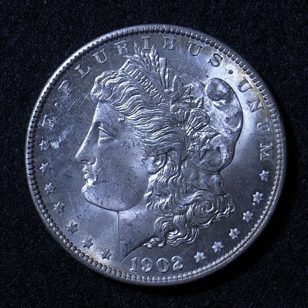 Close up US Morgan Dollar 1902-O obverse showing detail