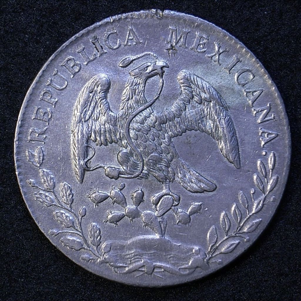 Close up Mexico Peso 1889 RR eagle side