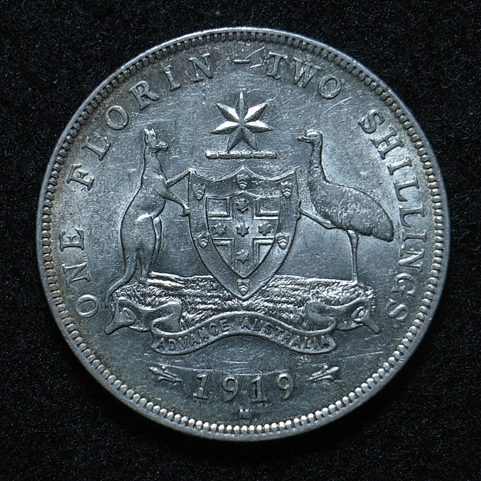 Close up Aus Florin 1919m reverse