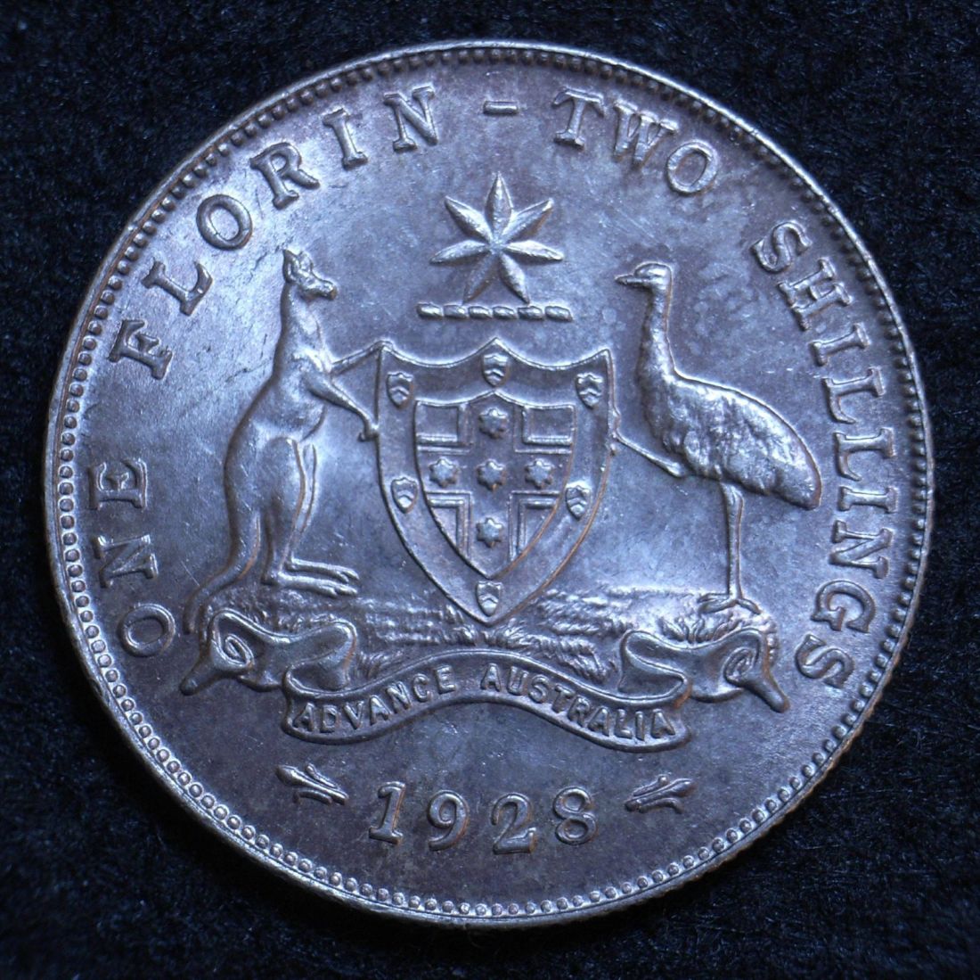 Close up Aus Florin 1928 reverse showing detail